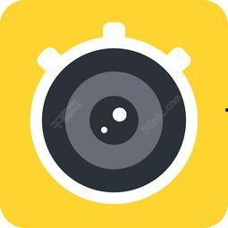 矢量图视频,探索视觉艺术与数字技术的完美融合