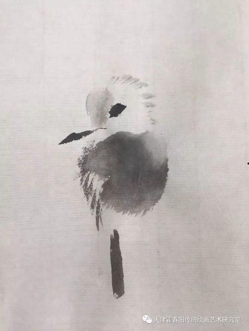 霍春阳视频,传统与现代的交融与创新